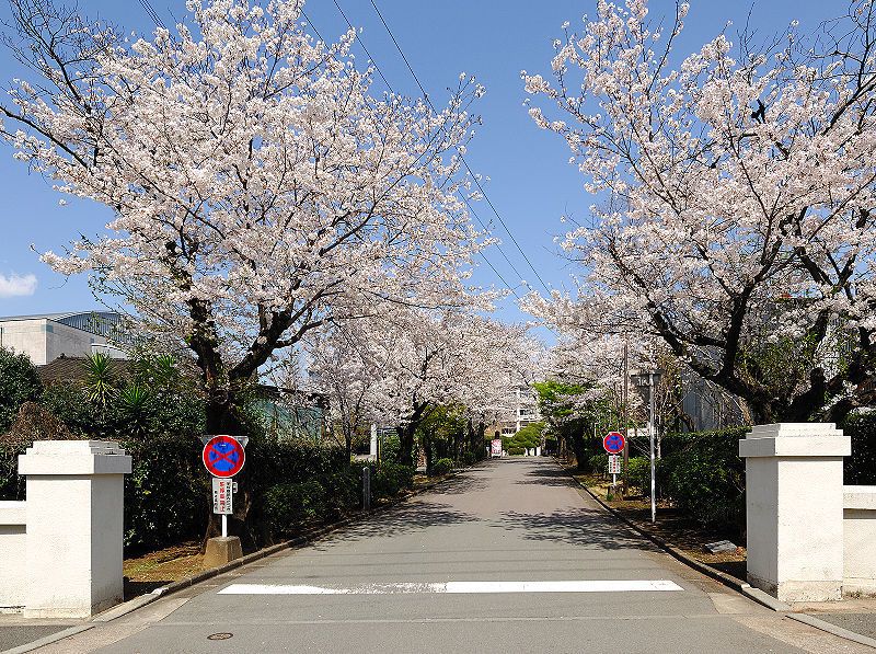 熊本県の高校偏差値ランキング 年度最新版 みんなの高校情報