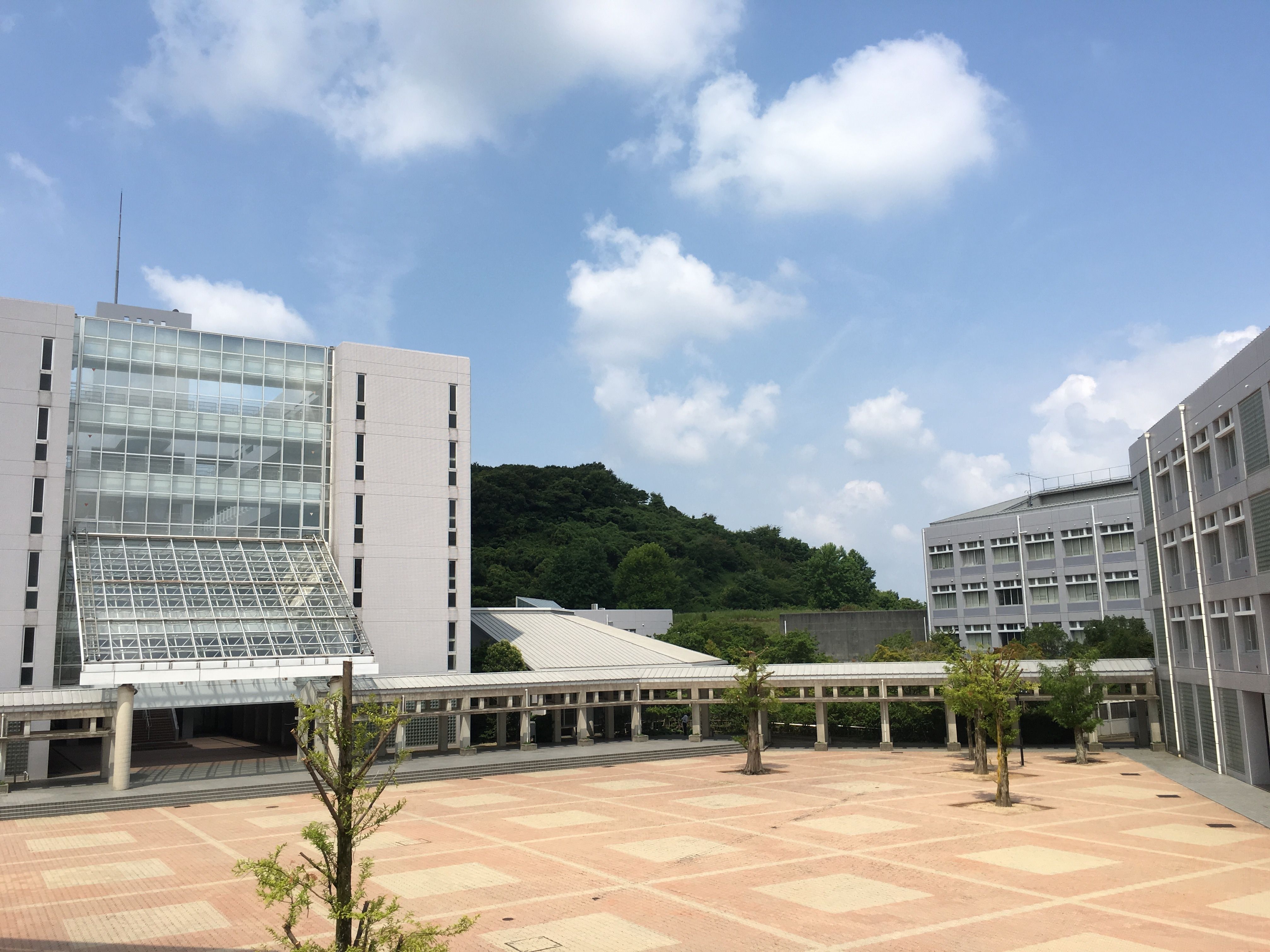 大学 偏差 学院 値 神戸