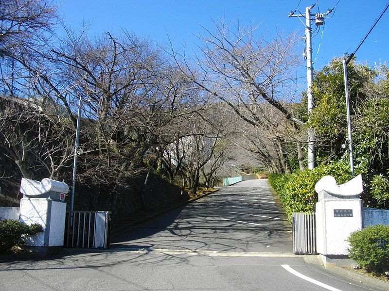 静岡 県 公立 高校