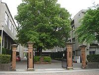 めい ごう しょうが っ こう