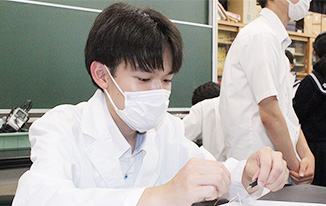 写真2