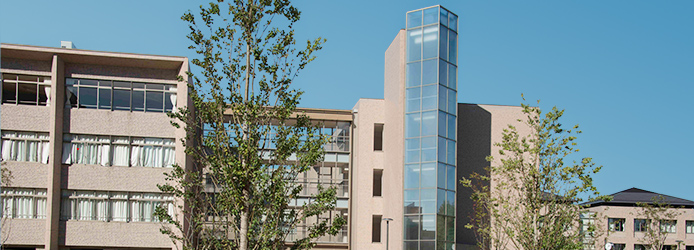 本文２の下の追加写真