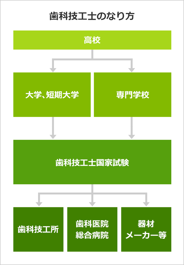 歯科技工士になるには 歯科技工士の口コミも掲載 みんなの専門学校情報