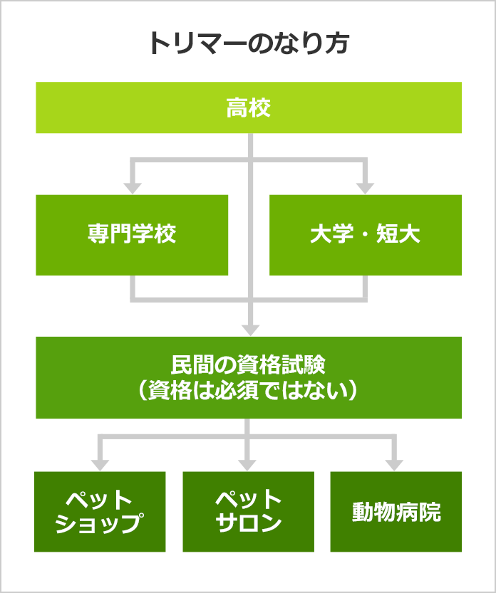 トリマーになるには トリマーの口コミも掲載 みんなの専門学校情報