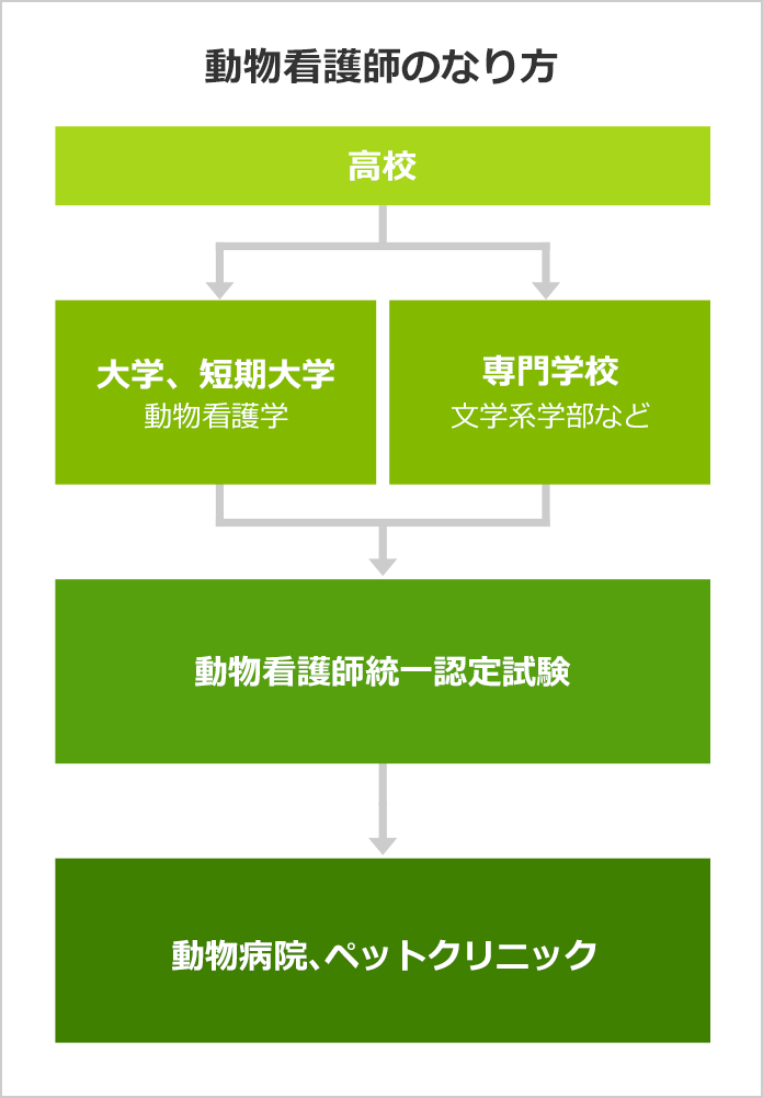 動物看護師になるには 動物看護師の口コミも掲載 みんなの専門学校情報