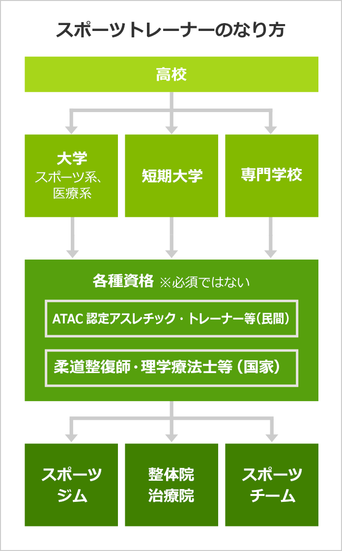 スポーツトレーナーになるには なるよりも なった後が大事 みんなの専門学校情報